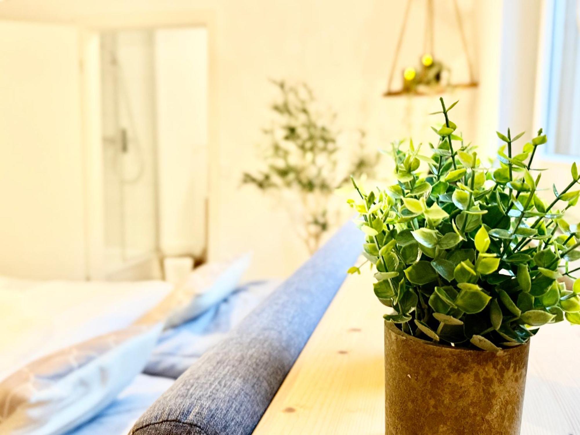 Ferienwohnung Oberwinter Bei Bonn Bandorf Ngoại thất bức ảnh